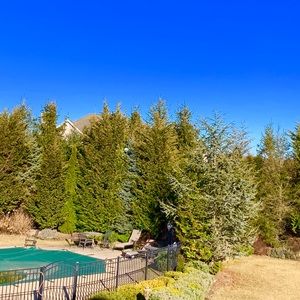 Meet your Posher, Alexander